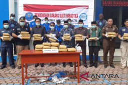 BNNK Madina musnahkan barang bukti ganja