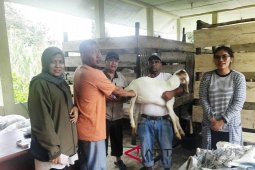 Tapanuli Selatan terima bantuan Kambing Etawa untuk petani