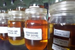 Pengembangan jenis tanaman bioenergi jadi solusi penyediaan energi terbarukan