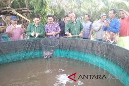 Budidaya ikan bioflok diharapkan berkembang di Singkil