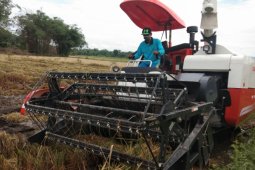 Pembelian "resmilling mobile" untuk petani Mukomuko terancam batal