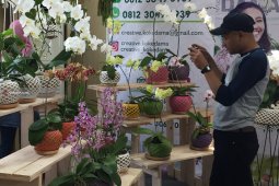 Shining Orchid Week Perkenalkan Potensi Anggrek