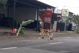 Antisipasi Kecelakaan, Warga Tanam Pisang di Jalan Berlubang