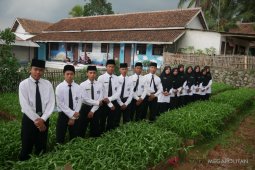 Ponpes Nurul Alami membuat inovasi dodol kangkung
