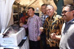 Pemkab Tanah Bumbu perjuangkan honorer jadi PNS
