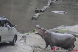 Sepekan, perpanjangan PPKM Mikro sampai libur Lebaran ke Bogor