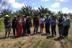 Harita Nickel bangun program peningkatan tanaman pangan