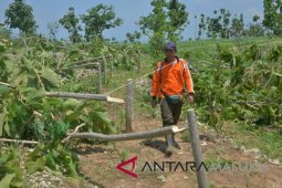 Krimsus serahkan tersangka perusakan hutan ke jaksa