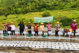 Bawang Merah dan Aplikasi TOBAsmile wujud nyata dukungan BI untuk Danau Toba