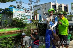 Masyarakat peduli pohon tanam 300 galam