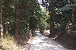 Kades Di Lebak Apresiasi Jokowi Naikan Dana Desa