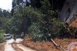 Jalan penghubung Panyabungan-Natal yang longsor sudah dibersihkan