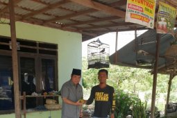 A legislator concerns about Batola's orange farmers
