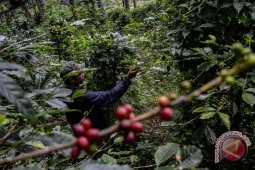 KALTIM-TNC-GIZ Kembangkan SIP Kebun