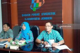 BPS: Hasil KSA, Jember Surplus 162.404 Ton Beras