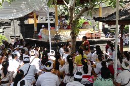 Ratusan mahasiswa Unhi Denpasar "Mejaya-jaya"
