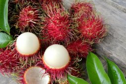 Rambutan "buah super" miliki banyak manfaat