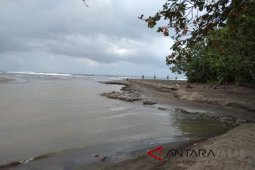Hutan Sancang Garut akan dikembangkan jadi wisata terbatas