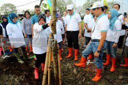PLN-Pemkot Surabaya Tanam 2.018 Pohon di TPA Benowo