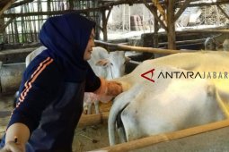 Jaga hewan di pergantian musim, peternak Cianjur diminta ini