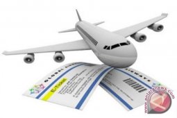 Transportation Minister asks airlines to offer affordable flight fares