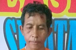 Polisi tangkap pelaku pemerkosaan wisatawan Cina