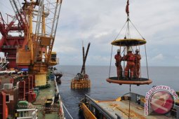 Harga minyak perpanjang kejatuhan, pertemuan OPEC nihil kesepakatan