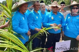 Bupati Ramli ajak investor bangun PKS di Aceh Barat