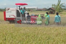 UGM Kenalkan Mesin Pertanian Produksi Korsel kepada Petani Madiun (Video)