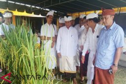 Dinas Pertanian Tabanan apresiasi petani gunakan pupuk organik