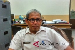 DP3AS Belitung: Kasus kekerasan perempuan dan anak menurun