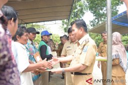 Pemkab Bangka Tengah salurkan 240.000 bibit lada