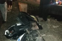Pemkab Abdya salur ratusan ribu bibit pinang