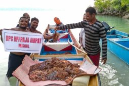 Dua Hari Aksi Bersih Laut HPI Angkat 1.272 Hama Karang