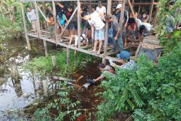 Josua ditemukan di kolong rumah