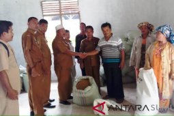 Pemkab Tapsel berikan bantuan gabah kepada Kelompok Tani