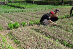 Korem 042/Gapu peringati Hari Ibu