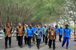 Menikmati Indahnya Pantai Cemara Banyuwangi