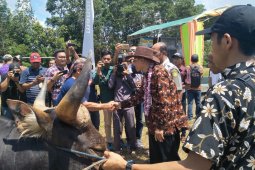 Kementan apresiasi langkah Bangka Selatan sejahterakan peternak sapi