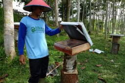Melihat geliat ekonomi Pondok Pesantren Ma'had Al-Jami'ah
