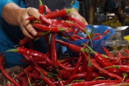 Cabai merah jadi penyumbang utama inflasi bulanan pada Desember
