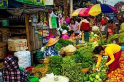 Harga sayur produksi luar daerah turun