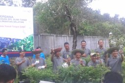 Penen cabe dan lele