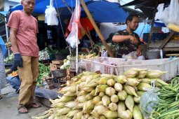 Penjual jagung bermunculan jelang tahun baru di Bogor