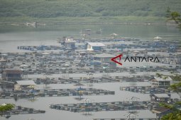 Dampak jaring apung di waduk Cirata