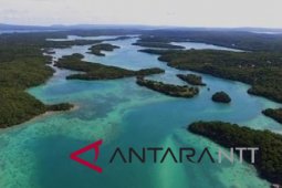 NTT prepares fish to be exported through El Tari airport
