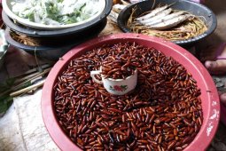 Perlu Kesiapan Fisik Menyantap Lezatnya Kuliner "Entung"