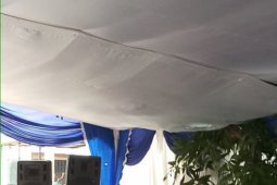 "Panji Petualang" klarifikasi sejumlah mitos tentang ular