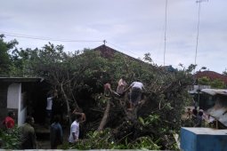 Angin Kencang Rusak Rumah Warga di Pamekasan