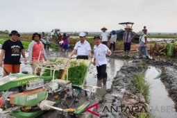 Bangka Selatan optimis bisa swasembada pangan